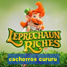 cachorros cururu