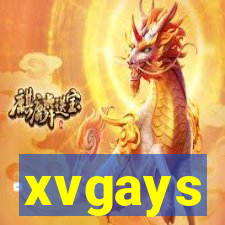 xvgays